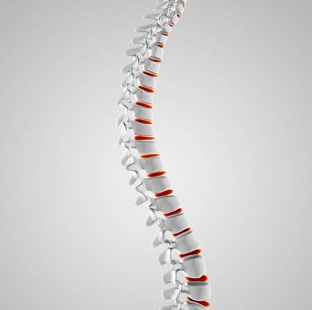 spinal